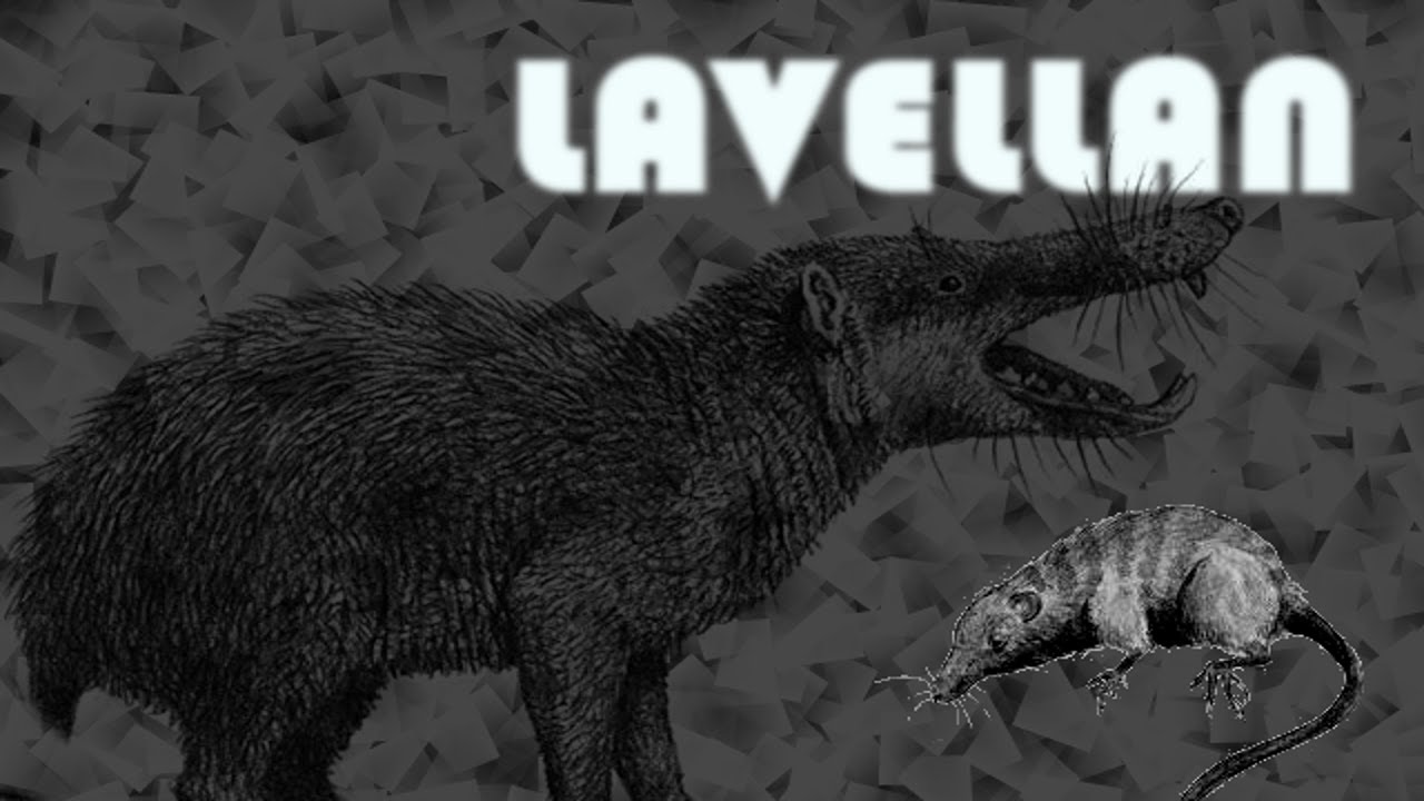 124# Kryptozoologia - Lavellan 