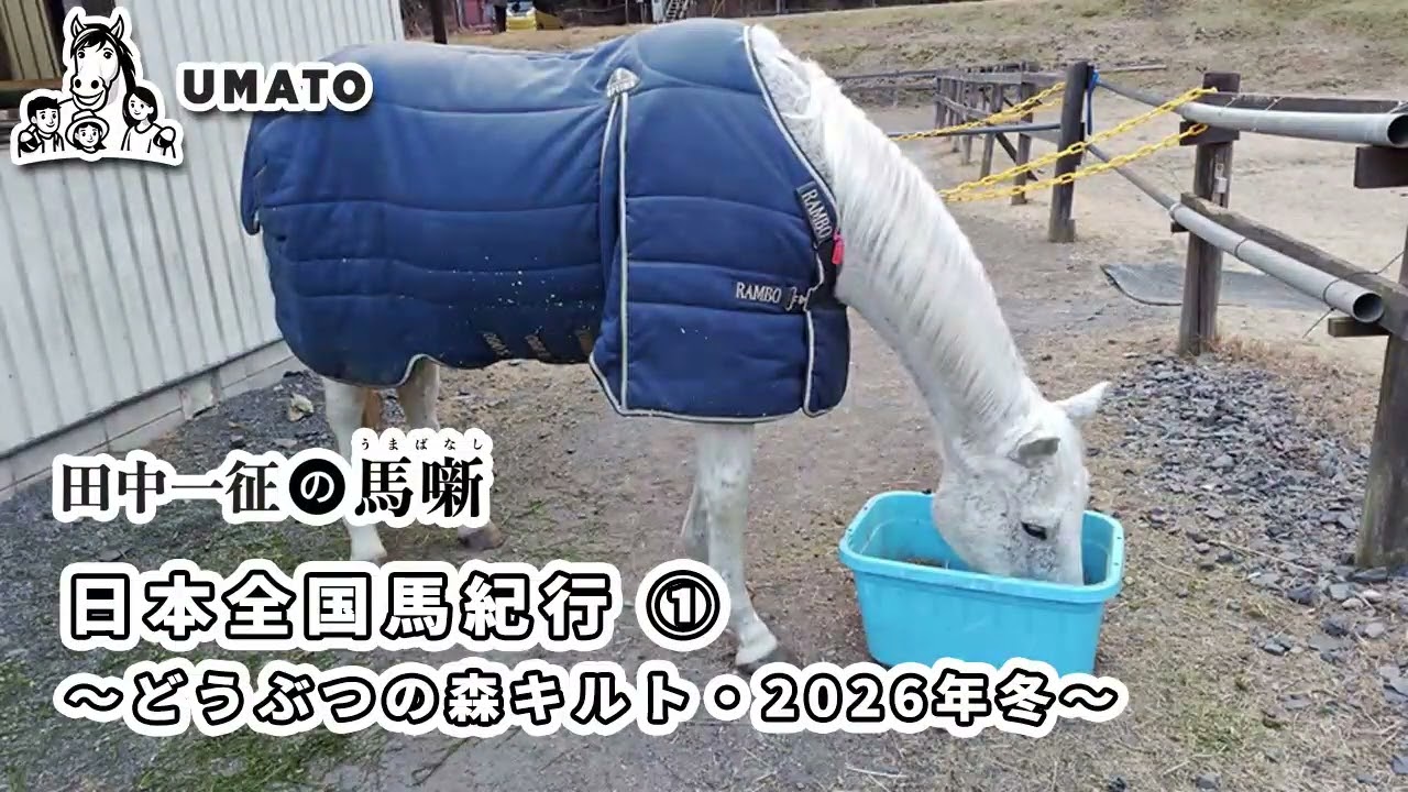 田中一征の馬噺「日本全国馬紀行 ① 〜どうぶつの森キルト・2026年冬〜」