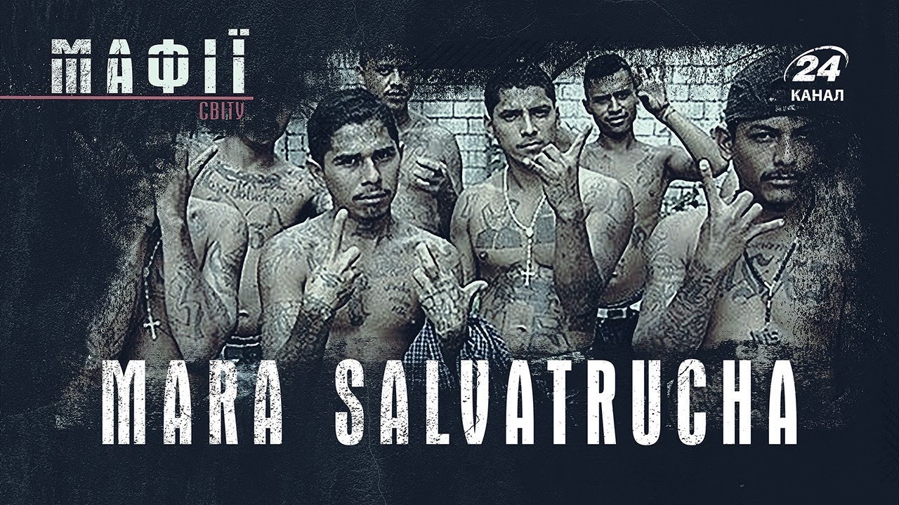 Мара Сальватруча (Mara Salvatrucha), Мафии мира
