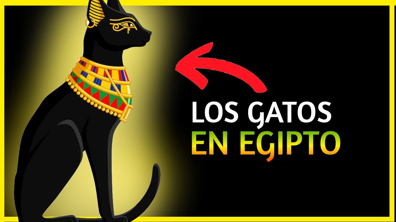 🙀😻 Por qu&eacute; los EGIPCIOS ADORABAN a los GATOS?  Significado del gato en el antiguo Egipto