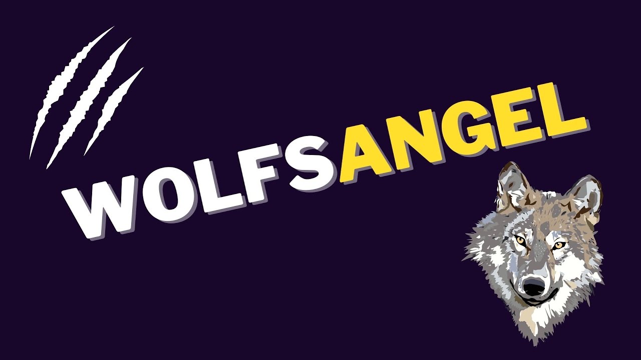 MOST HATED SYMBOLS -  THE WOLFSANGEL  #history #symbols