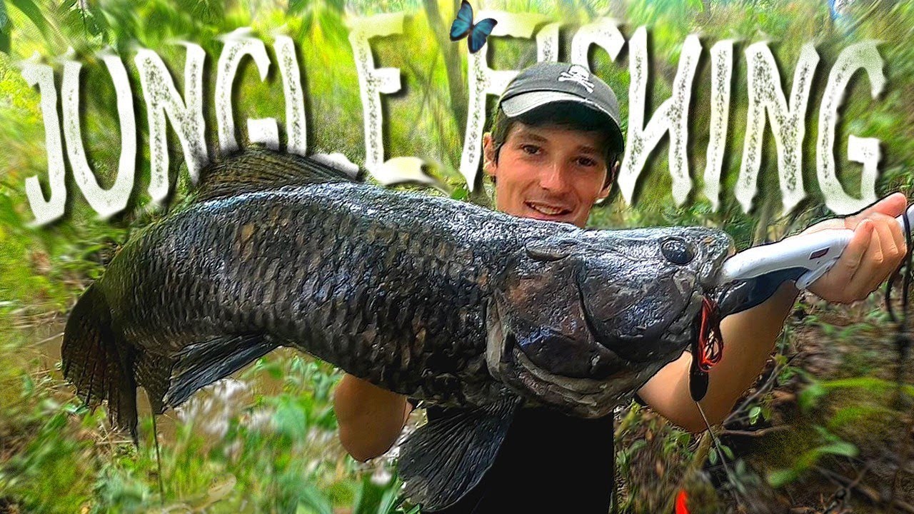 JUNGLE FISHING