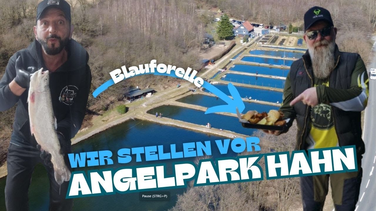 Angelpark Hahn Wipperfürth 2025+++Blauforelle+++
