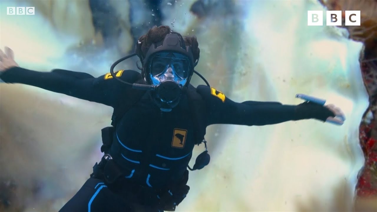 Andy and the Sarcastic Fringehead | Andy's Aquatic Adventures | Andy's Amazing Adventures