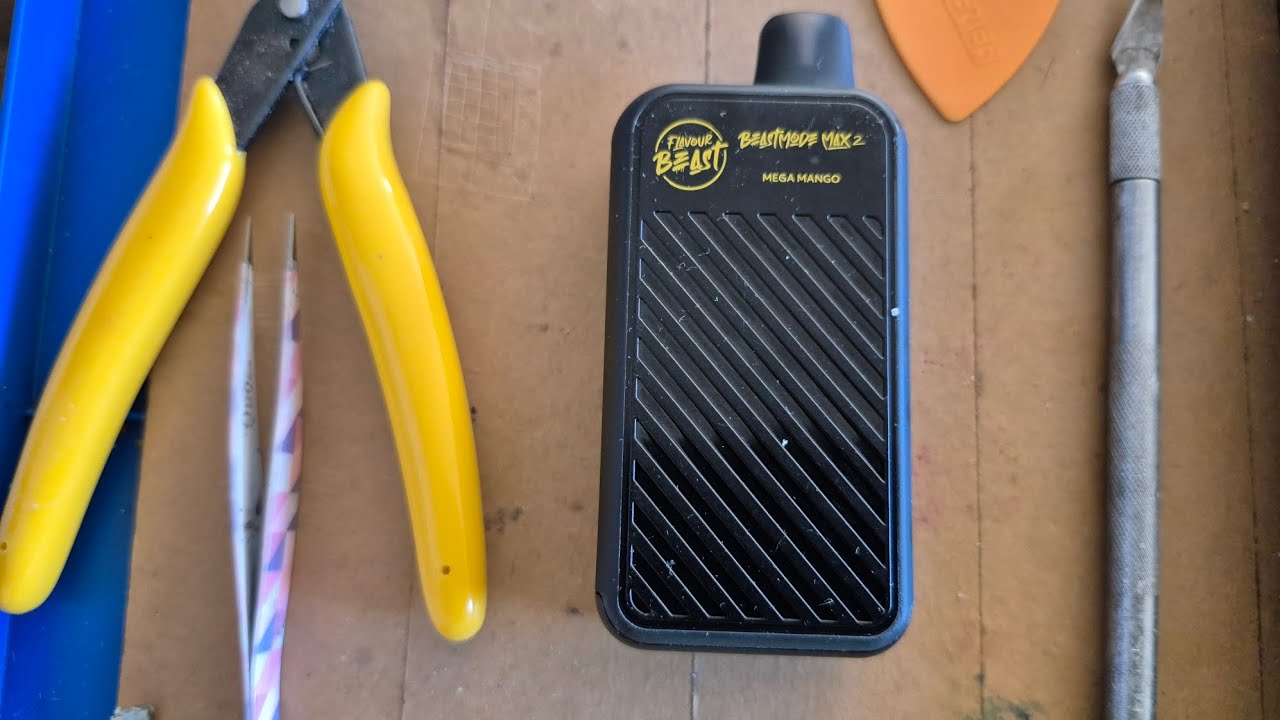 What is inside? Let's discover 