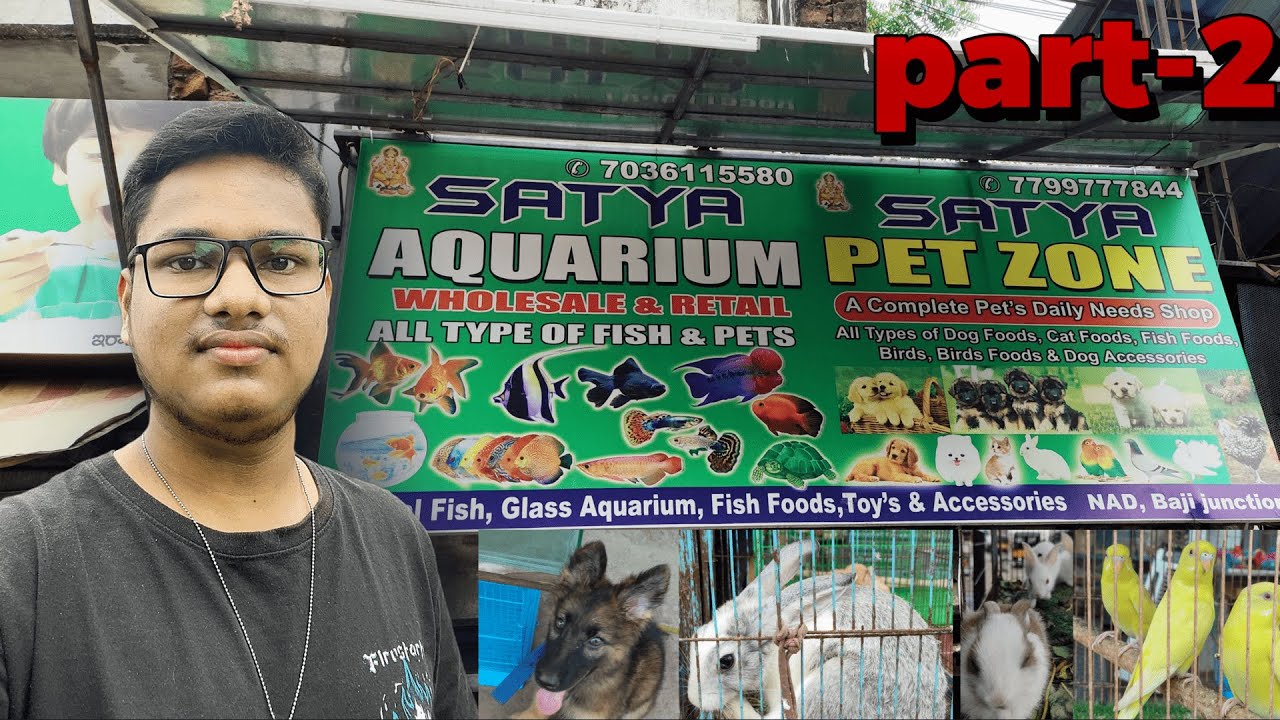 Satya pets& aquarium store PART 2.