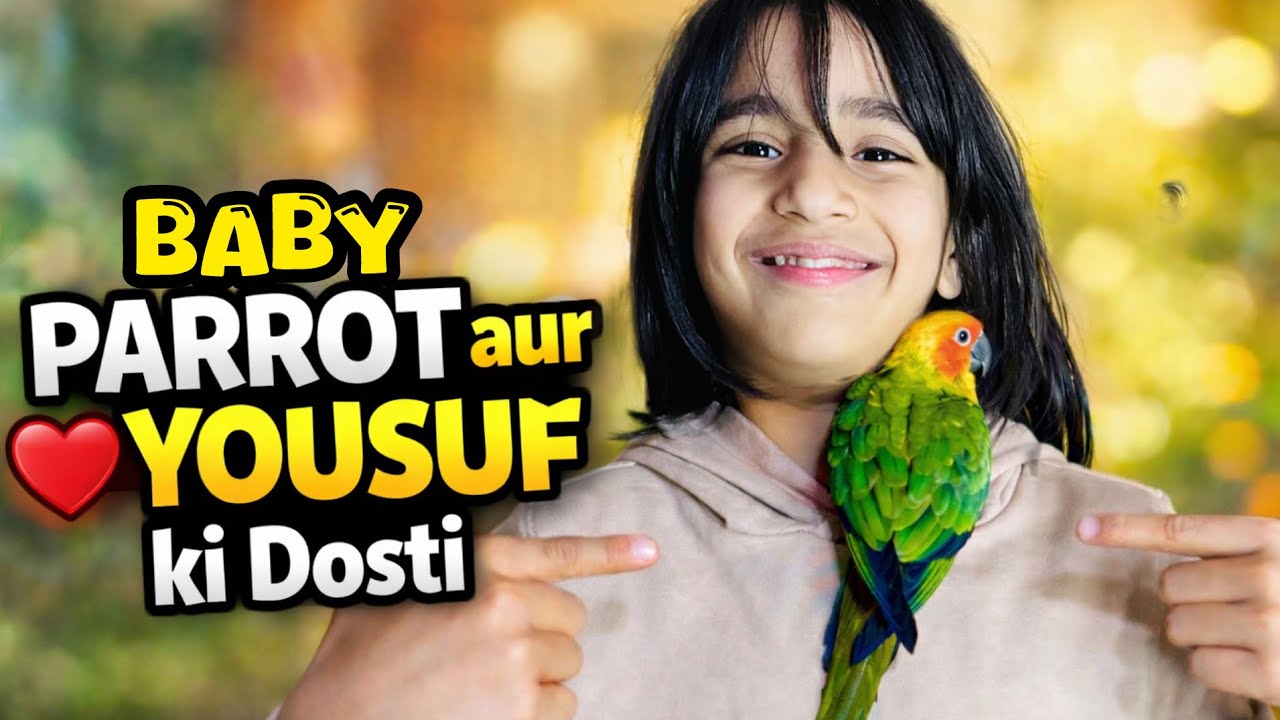 Yousuf Ki Jaan Mr Lino 🦜😍