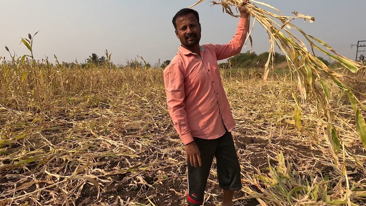 दिवस महाशिवरात्रीचा