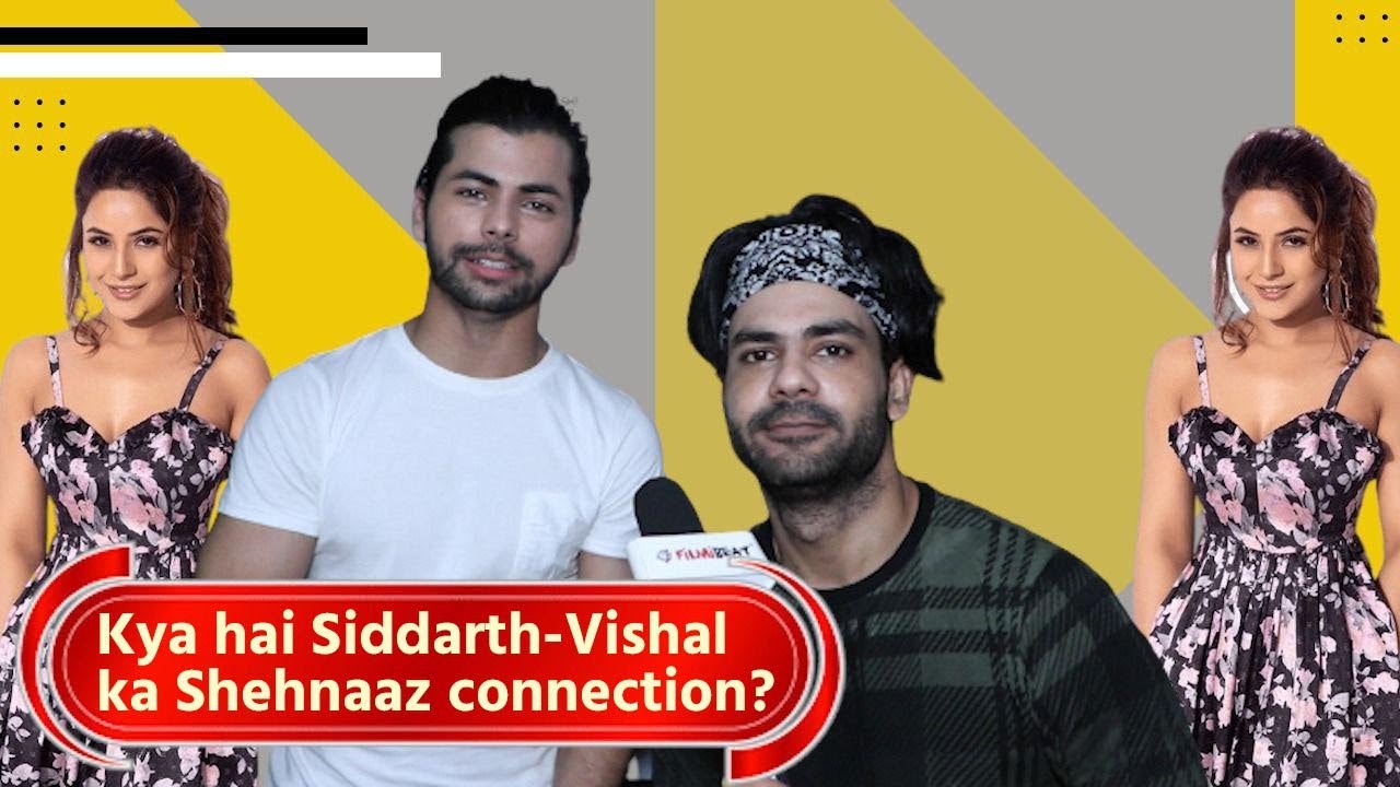 Siddharth Nigam, Vishal Singh ने बताया Shehnaaz Connection, Salman Khan संग काम करने पर क्या बोले?