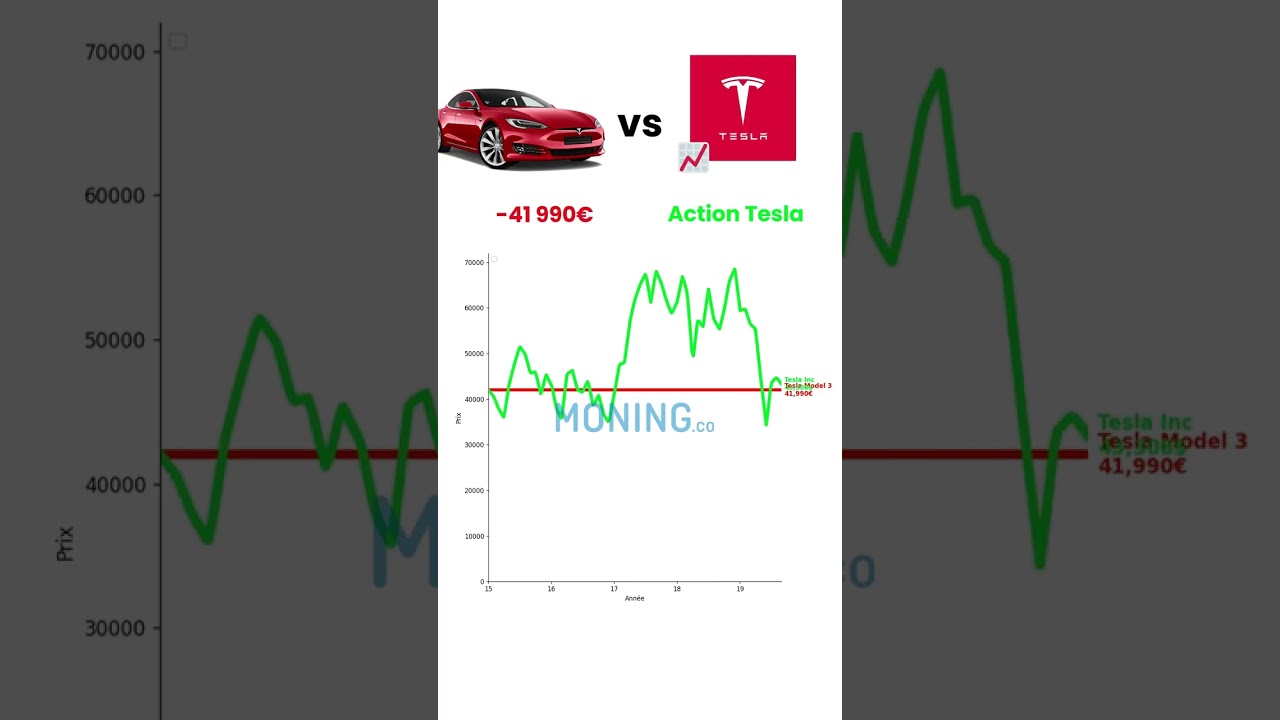 Tesla Model 3 VS Action Tesla $TSLA #elonmusk #finance #argent #crypto #tesla