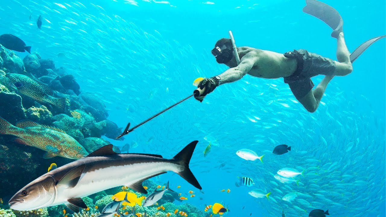HUGE FISH On My Homemade Spear! PRIMITIVE Bahamas Spearfishing!