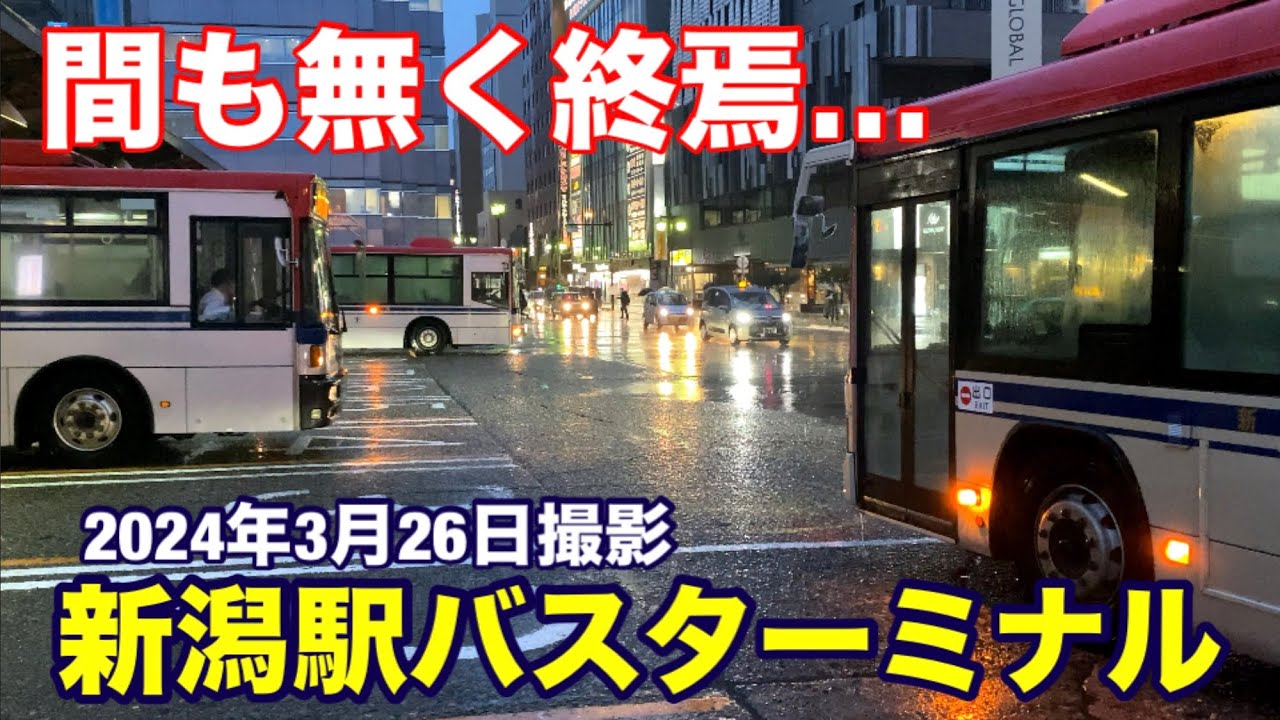 しばらく、新潟駅バスターミナルを眺めてみた！ (2024年3月26日撮影)