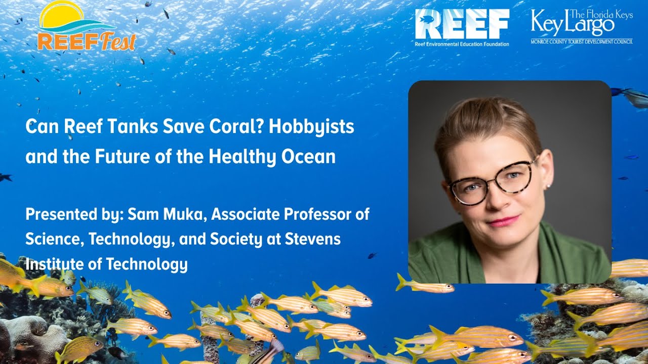 Can Reef Tanks Save Coral? Hobbyists and the future of the healthy ocean