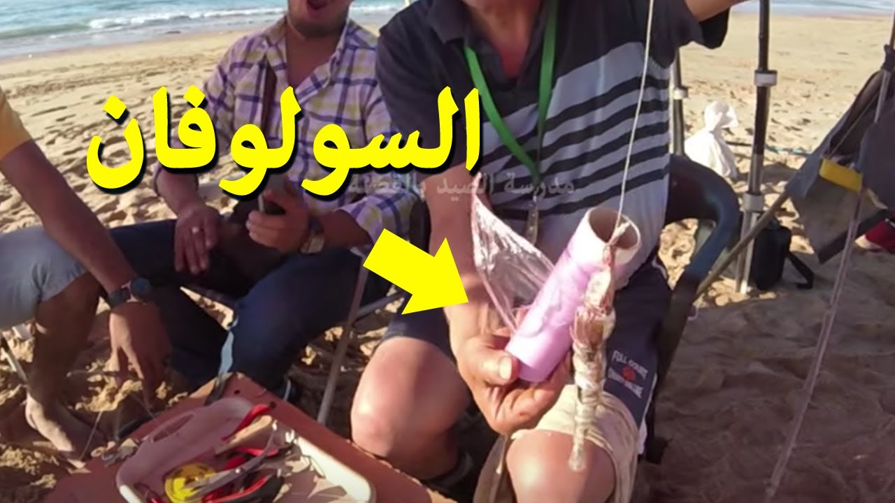 كيف تصطاد الأسماك رغم وجود قمل السمك ؟