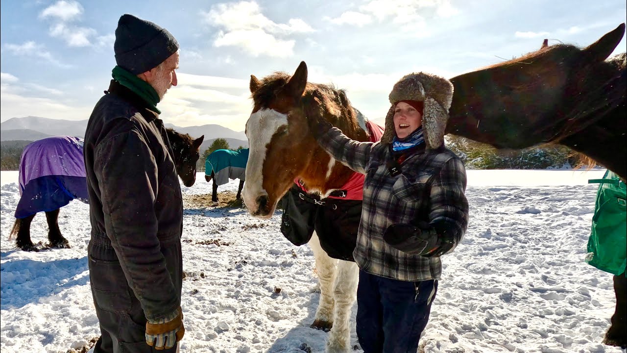 Meet Lauren & her HORSES! #880