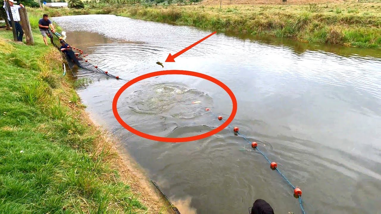 REPRESA COM MAIS DE 20 ANOS SEM TIRAR OS PEIXES VEJA O RESULTADO SÓ GIGANTES