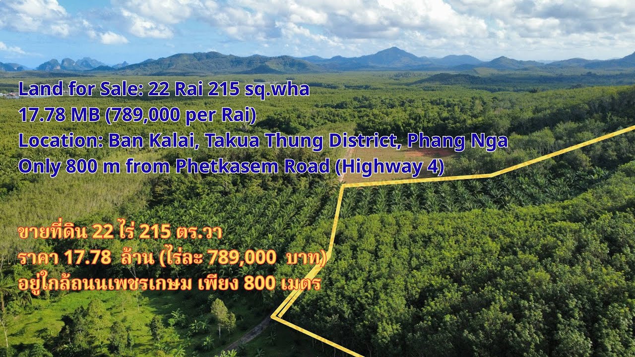 🏞️ INVESTMENT OPPORTUNITY | PHANG-NGA LAND 🏞️