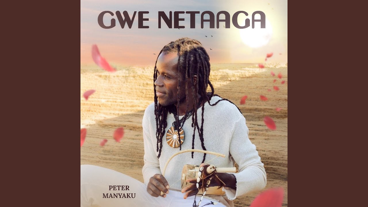 Gwe netaaga