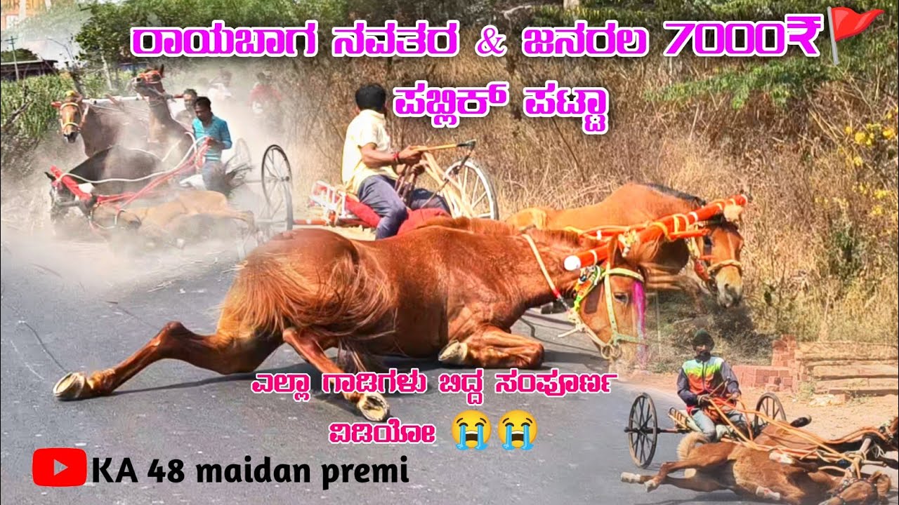 ರಾಯಬಾಗ ಒಂದು ನವತರ & ಜನರಲ್ 7000₹🚩 ಪಬ್ಲಿಕ್ ಪಟ್ಟಾ#horse #ghodasharyat #ka48maidanpremi  #rayabaga 