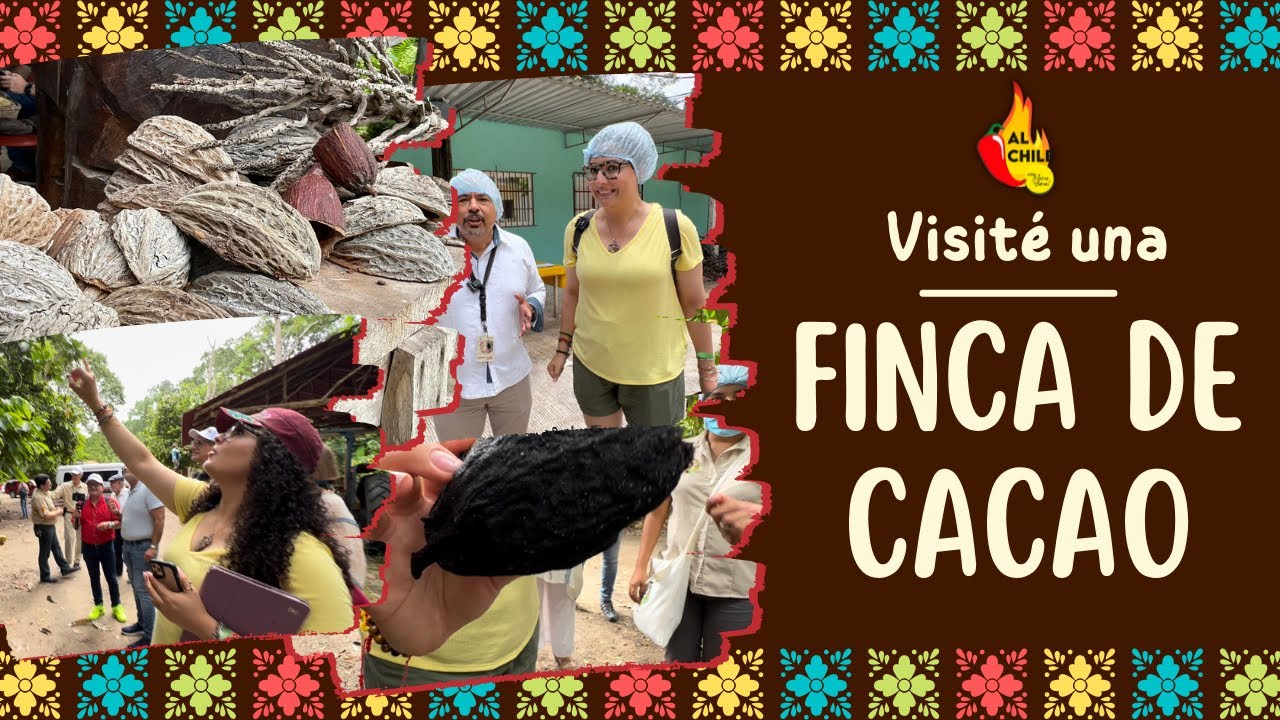 Mi tour por la FINCA de CACAO más reconocida de TABASCO