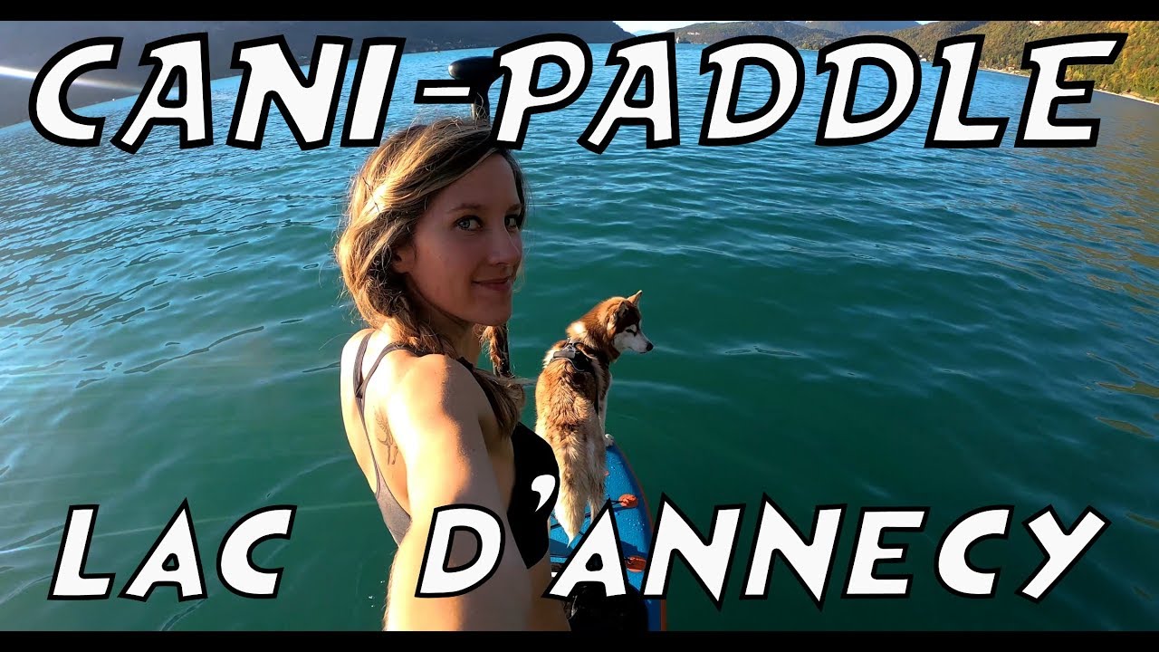 Cani-Paddle Lac d'Annecy