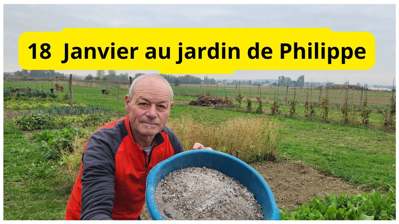 18  janvier dans le  jardin  de Philippe  : quoi faire  ?