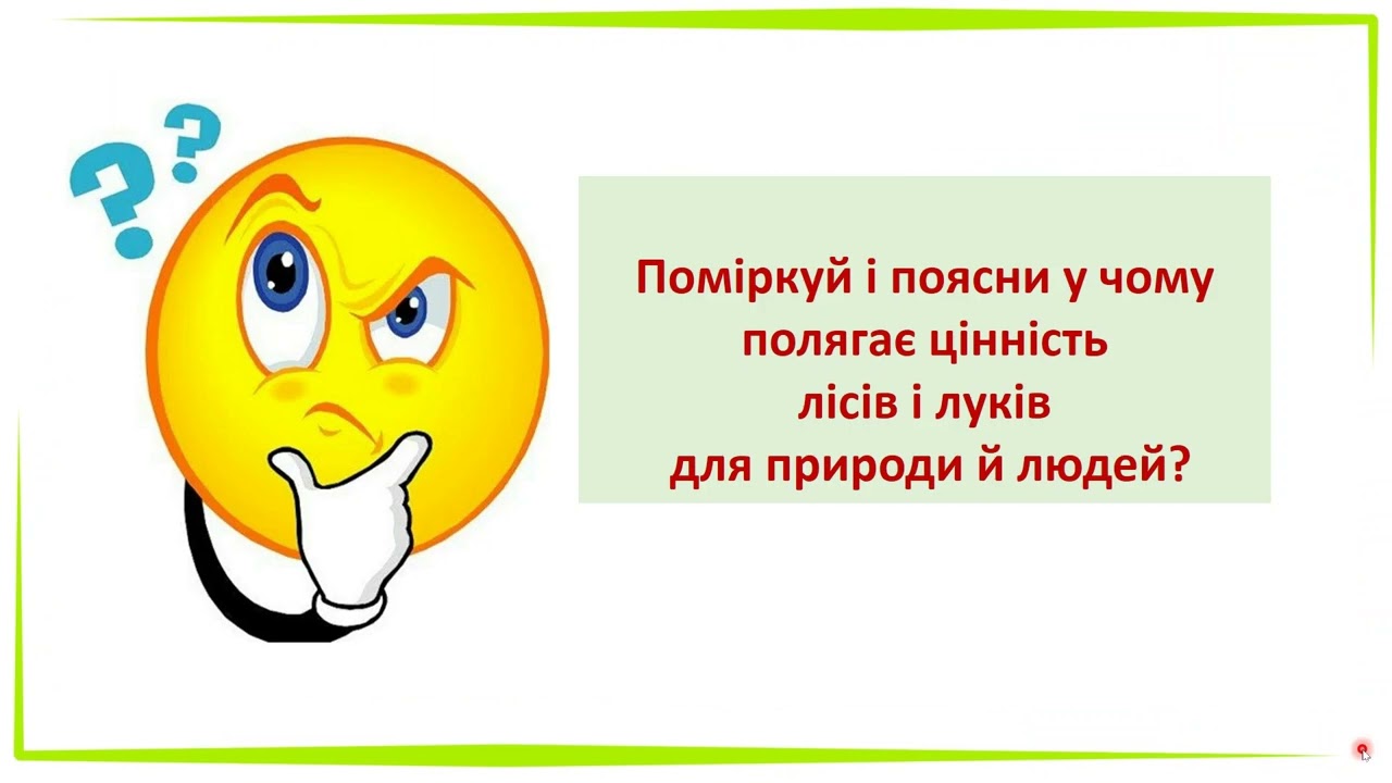 Якими бувають ліси та луки
