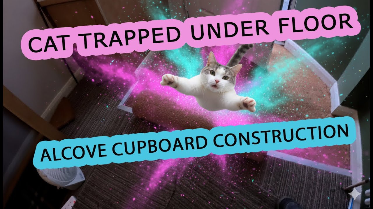 Cat Trapped Under Mat, & Alcove Cupboard Job #popularvideos #coir #trendingnow #diy