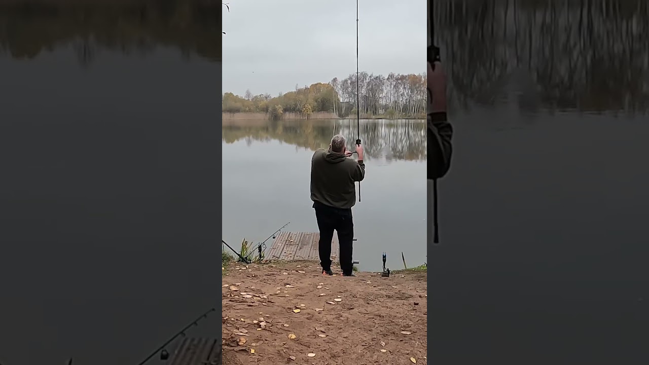 I thought it was a CARP! 🎣.       #fishing #specimen #carp #carpfishing #bream