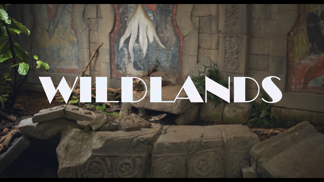 Wildlands 2025