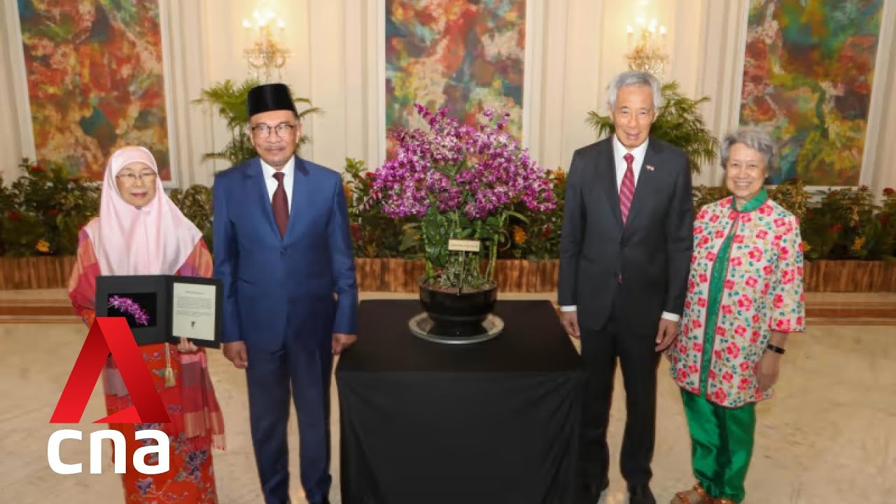 Singapore-Malaysia relations must be enhanced, says Malaysian PM Anwar Ibrahim