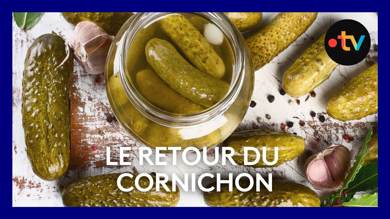 Le cornichon made in Loir-et-Cher