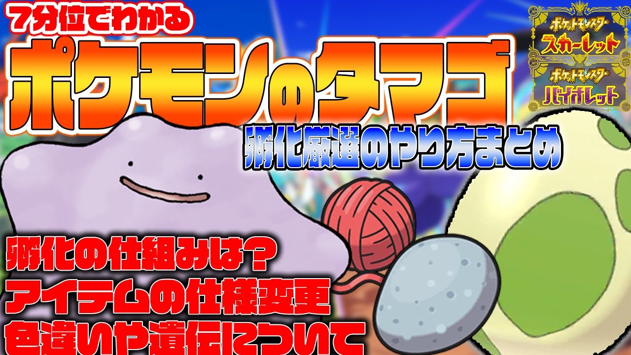 【ポケモンSV】この動画だけで理解できます。タマゴ孵化厳選の仕組みについてまとめたった　【ポケモンのタマゴ/メタモン】@SC_Kaito