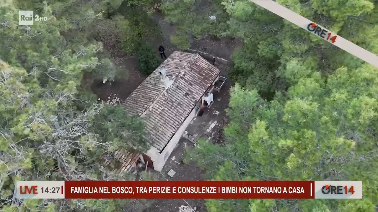 Famiglia nel bosco le ultime novità - Ore 14 del 26/02/2025