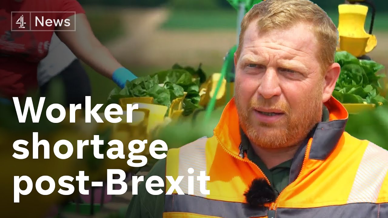 Post-Brexit: Businesses hit by labour shortages call for Brexit rules to be relaxed