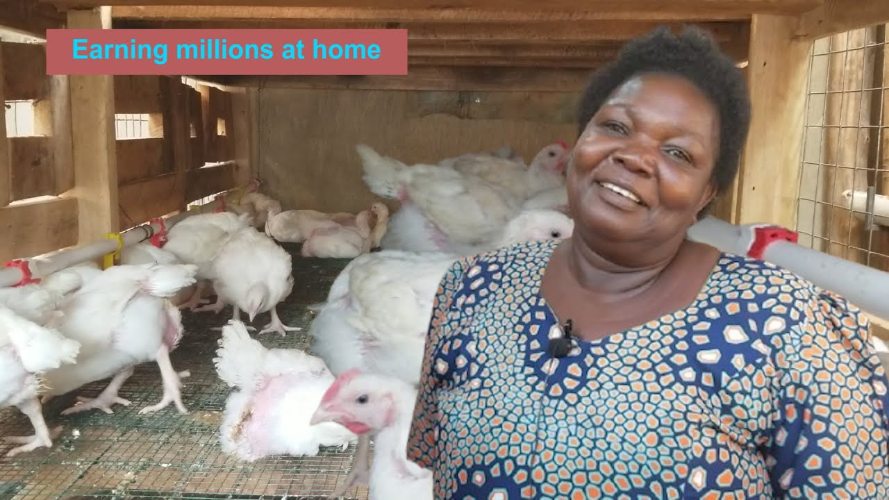 WORKING AT HOME IS THE WAY; SHE EARNS MILLIONS FROM BROILER CHICKEN: NO RENT NO NOTHING