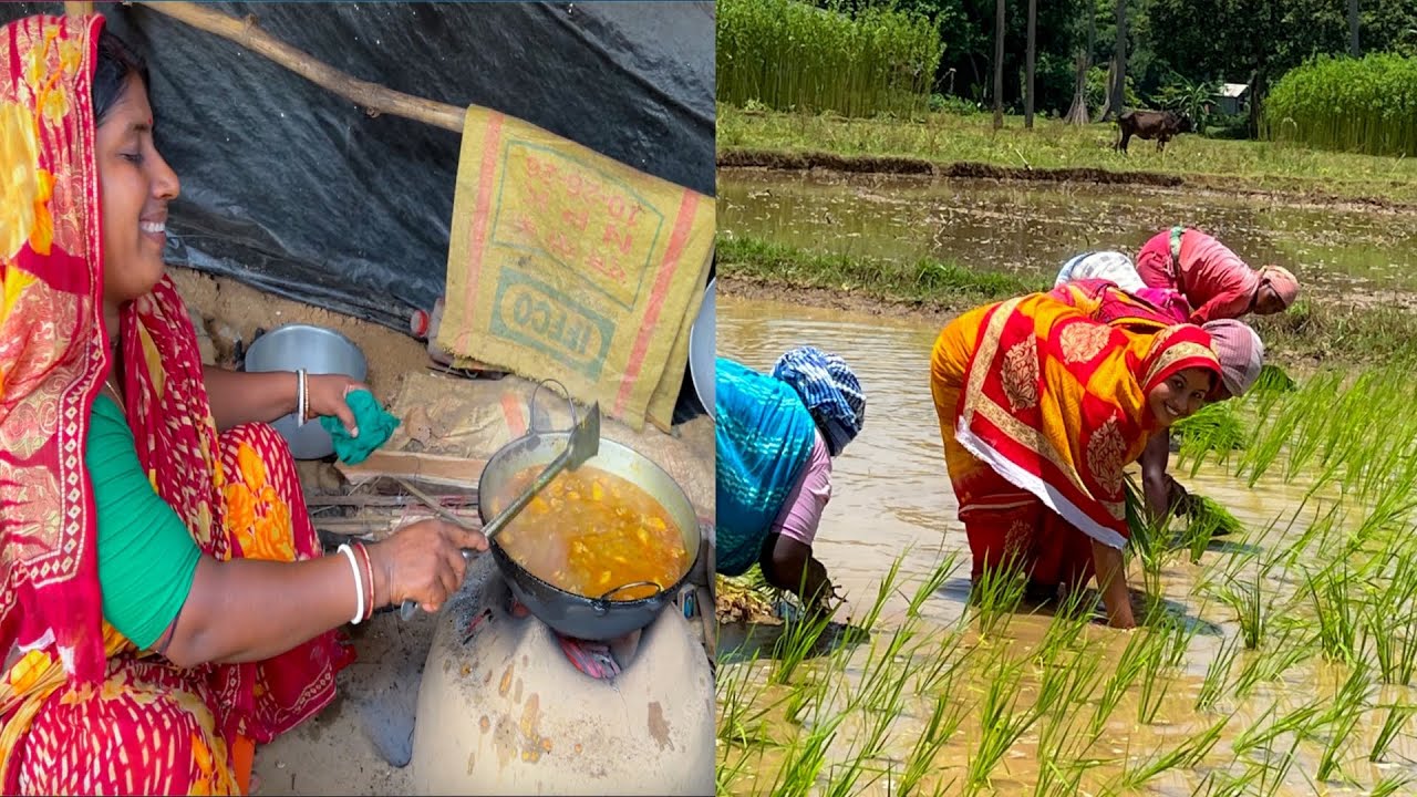 ধান পোঁতার ট্রেনিং | অনেকদিন পর পিসির হাতের মাংস রান্না খেলাম |