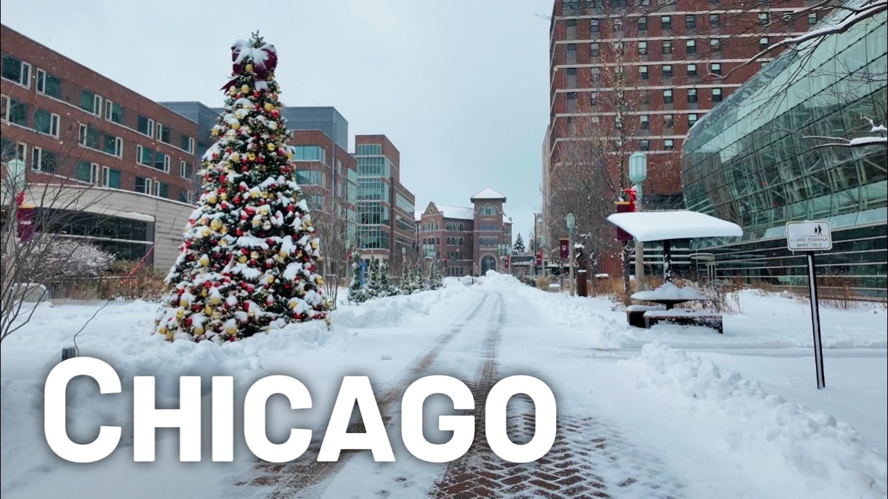 Chicago Morning Snowfall ❄️ Rogers Park Walking Tour [4K]