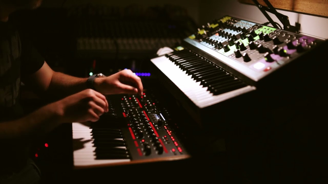 Moog Matriarch and DSI Pro-2 | A meaningless endeavor