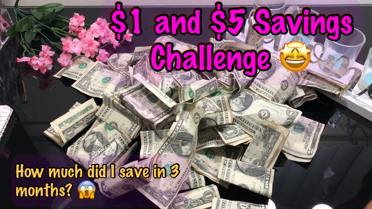 $1 and $5 Savings Challenge | How much did I save?