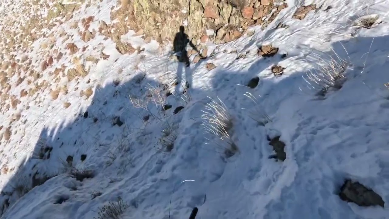 Doğu Anadolu keklik avı part3 