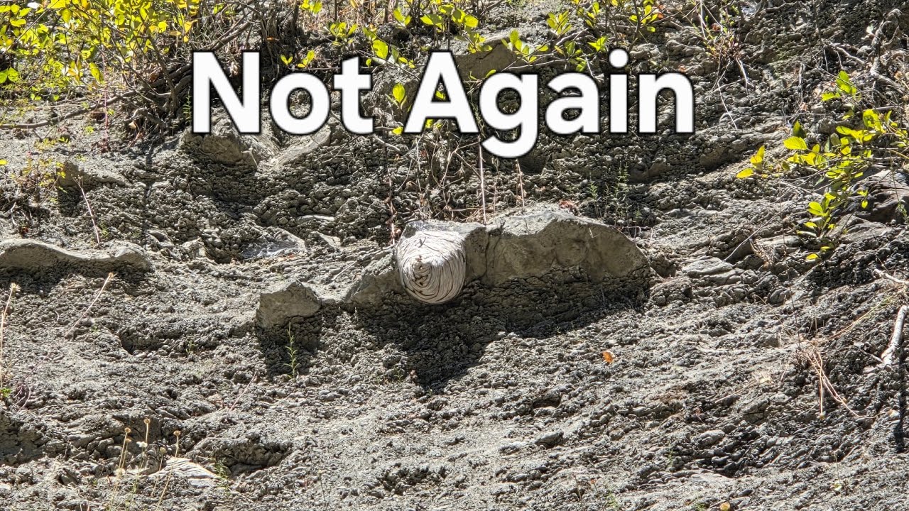 Insane Fossil hunt On Vancouver Island 