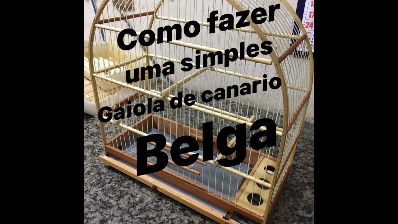 COMO FAZER UMA SIMPLES GAIOLA DE CANARIO BELGA