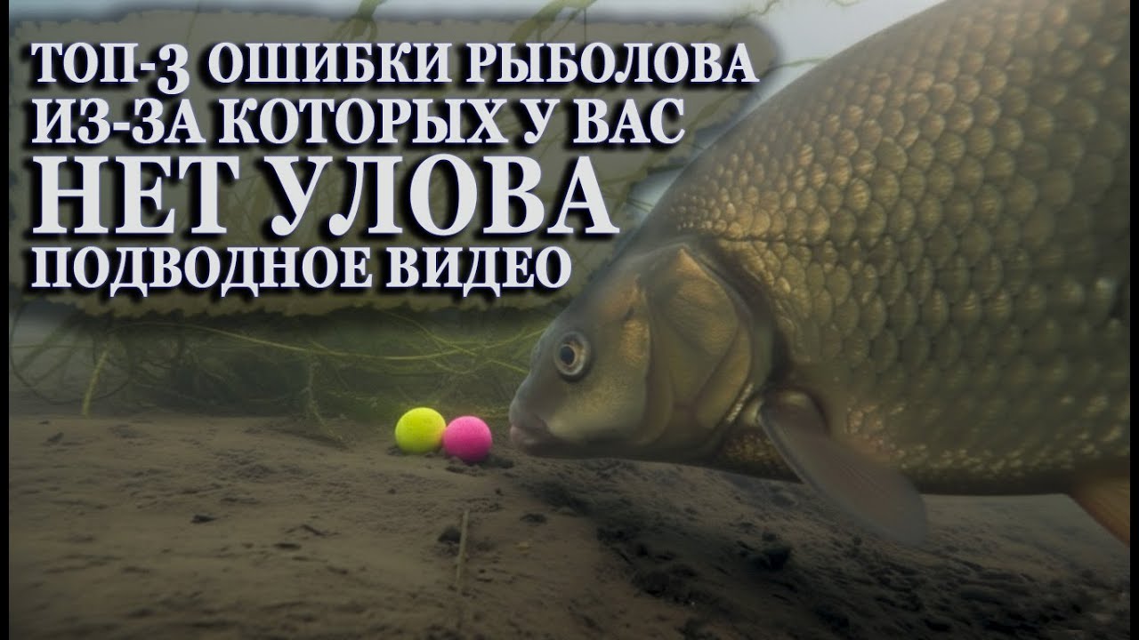 Топ-3 Ошибки рыболова из за которых у вас нет улова Подводное видео