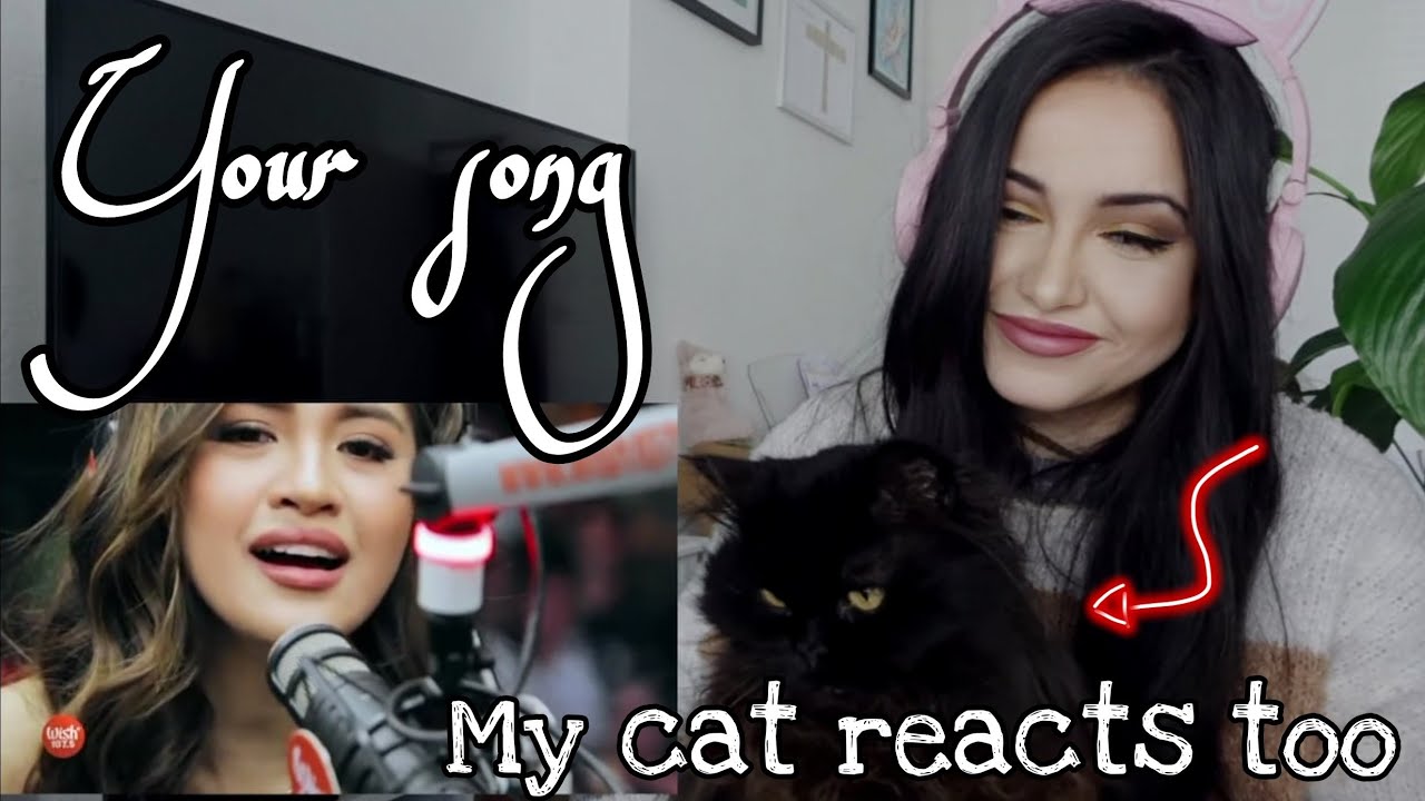 Music student reacts to @JulieAnneSanJoseofficial / You song /  Wish bus