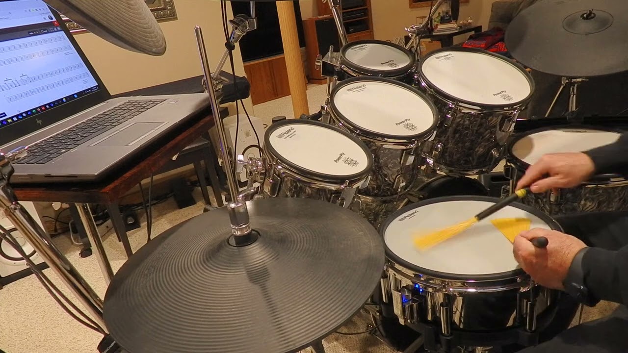 Roland V71 brush kit