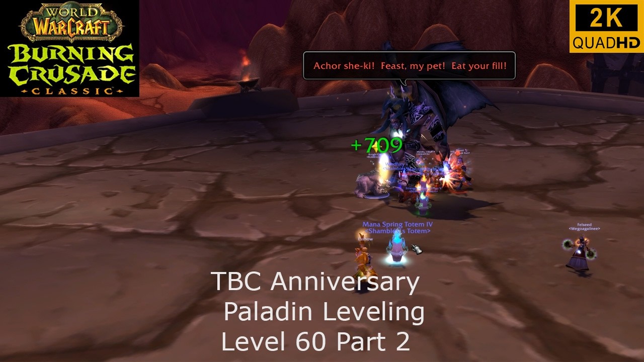 WoW TBC Anniversary | Paladin Leveling | Level 60 Part 2 | Retri Paladin PoV | No Commentary 2K