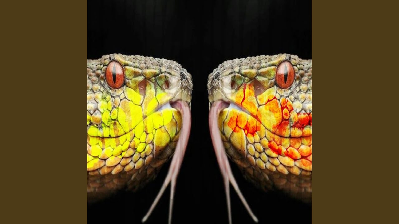 DOBLE VARA