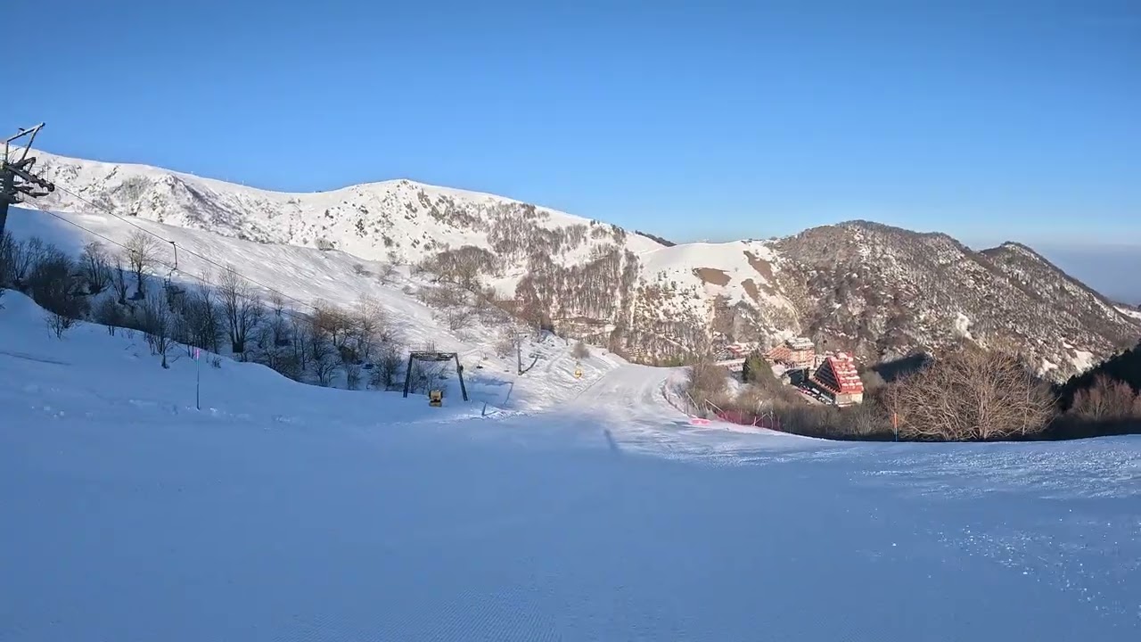 ARTESINA COLLETTO_27022026