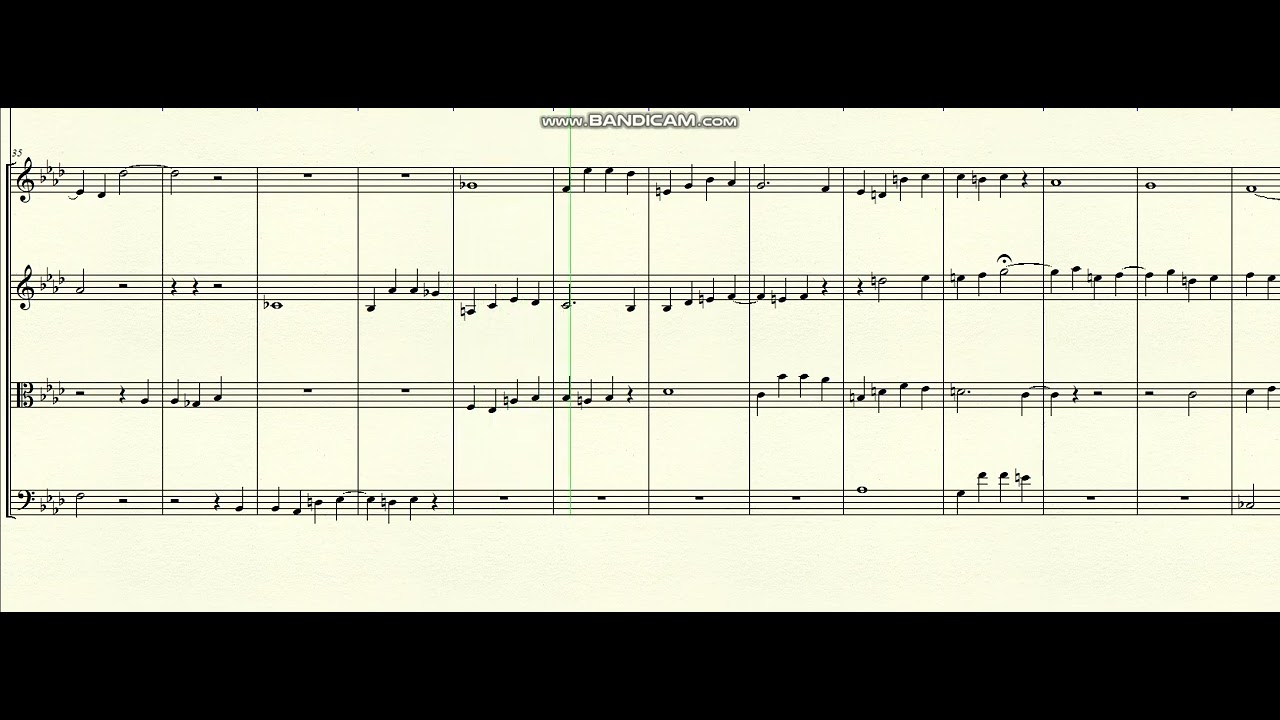 DOK 1.180 - Sonata for Strings (Fm) - Lento